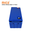 Rechargeable Deep Cycle LiFePO4 12V 100ah Lithium Ion Battery Packs for Camping Car Caravans Trailers Vans
