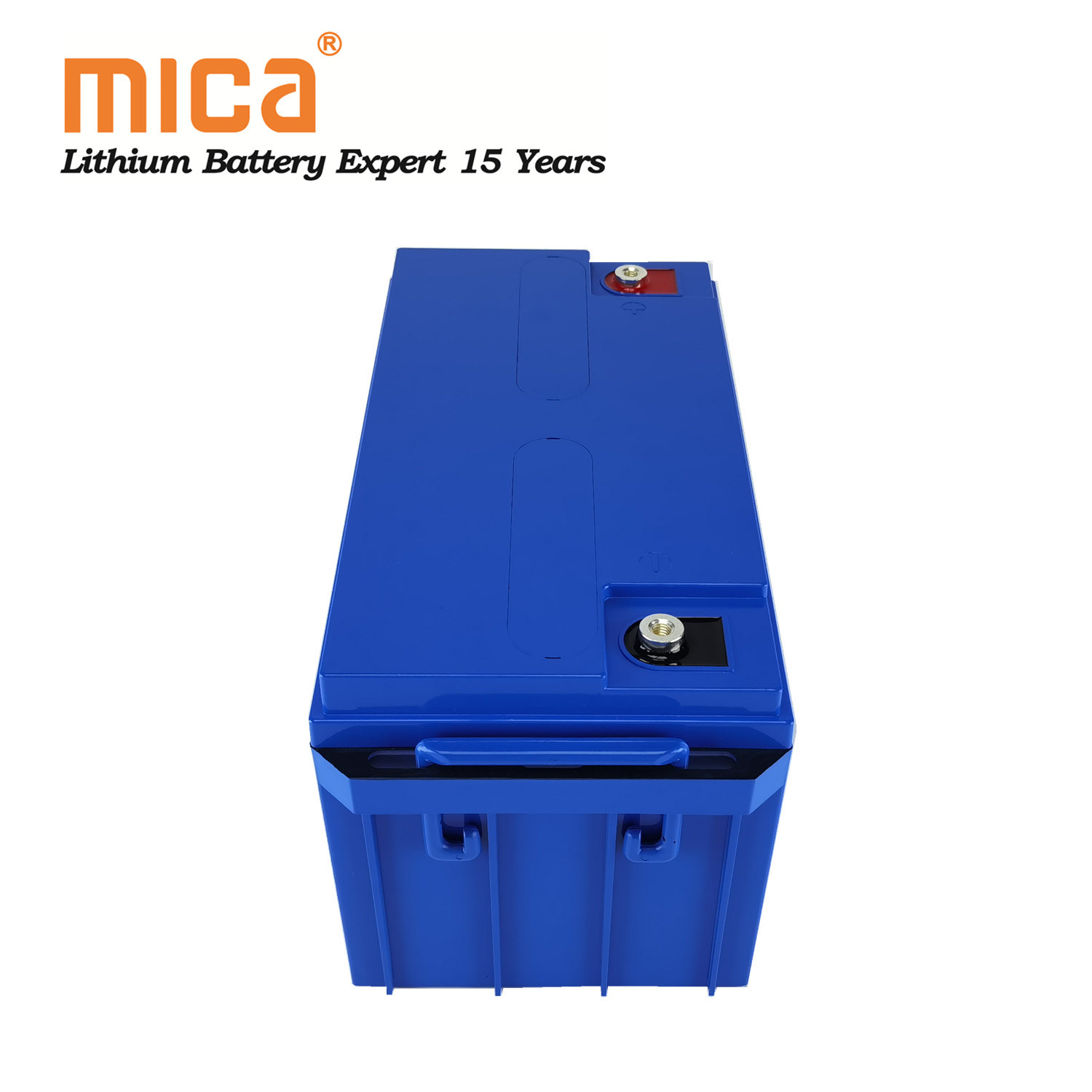 Rechargeable Deep Cycle LiFePO4 12V 100ah Lithium Ion Battery Packs for Camping Car Caravans Trailers Vans