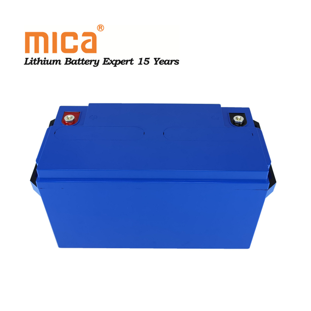 Rechargeable Deep Cycle LiFePO4 12V 100ah Lithium Ion Battery Packs for Camping Car Caravans Trailers Vans