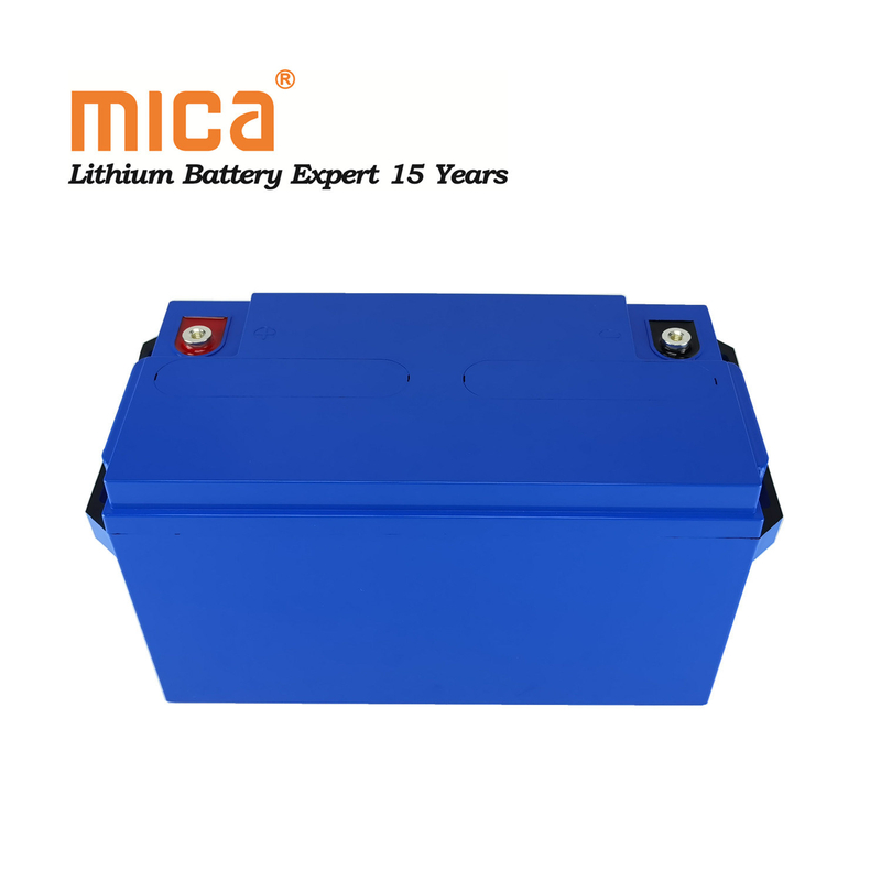 Rechargeable Deep Cycle LiFePO4 12V 100ah Lithium Ion Battery Packs for Camping Car Caravans Trailers Vans