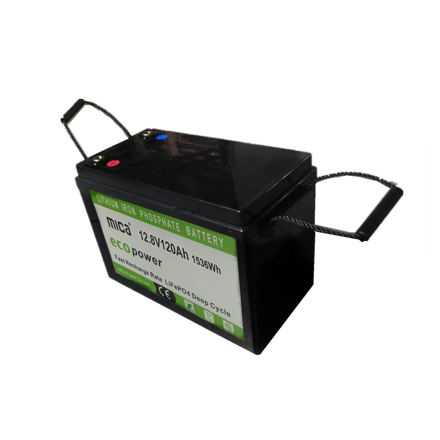 2-Seat Electric Vehicle Golf Cart Trolley 12V 120ah Lithium Battery 48V 120ah LiFePO4 Deep Cycle Battery Pack