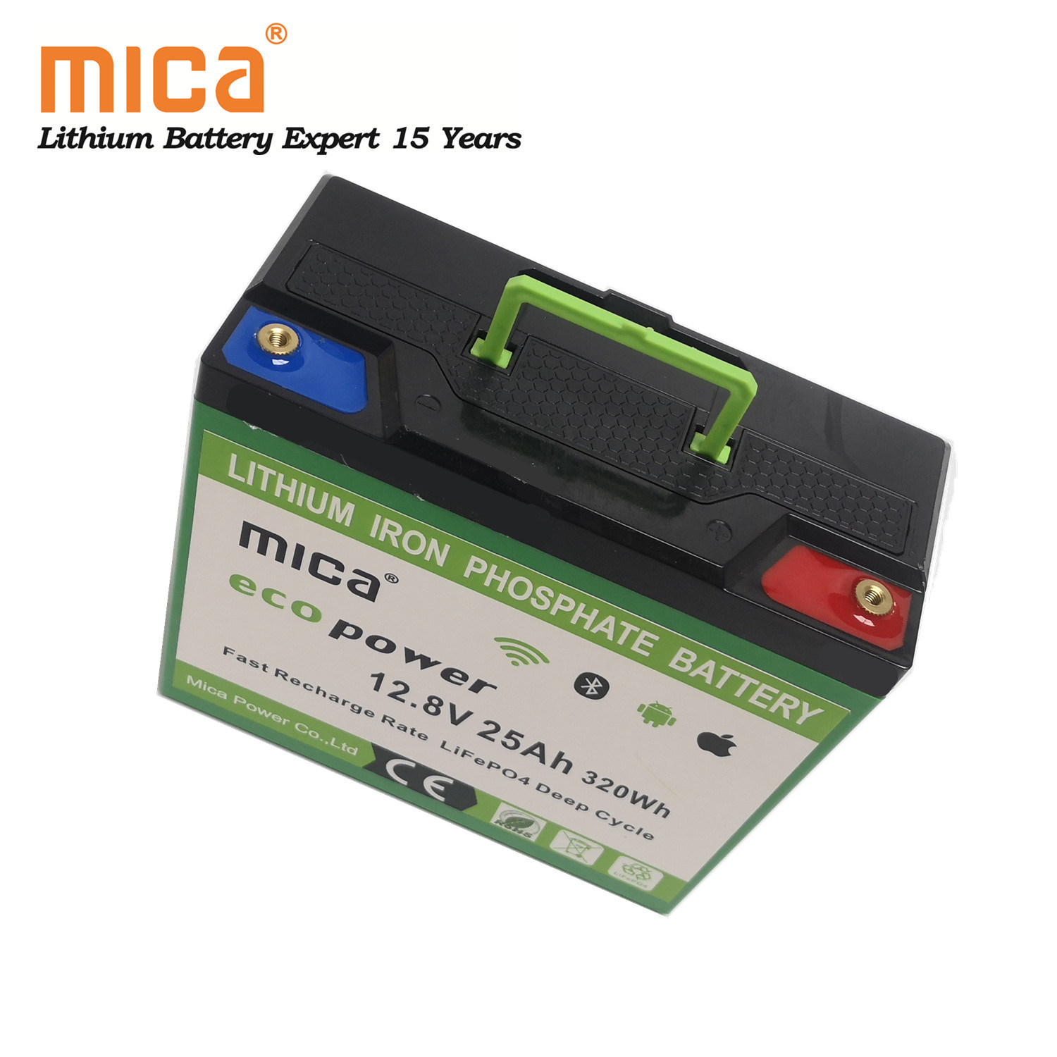 Factory Wholesale Lithium Ion 12V 25ah LiFePO4 Battery Pack with BMS LED Handhold