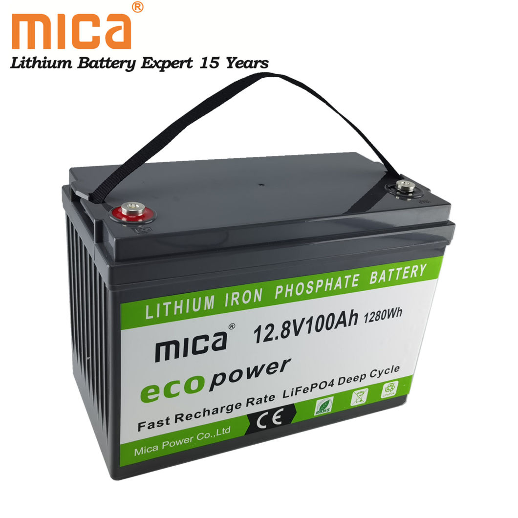 BMS Built-in Long Life RV LiFePO4 12V 100ah Deep Cycle Lithium Ion Batteries LiFePO4 Battery Pack