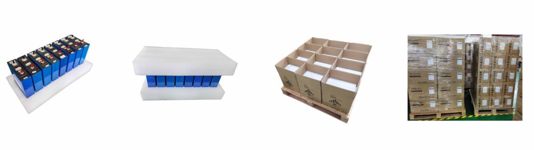 12V 100ah LiFePO4 Battery Lithium Ion Phosphate Battery with LCD Dual USB Power Station with BMS for Camper Caravan Boat