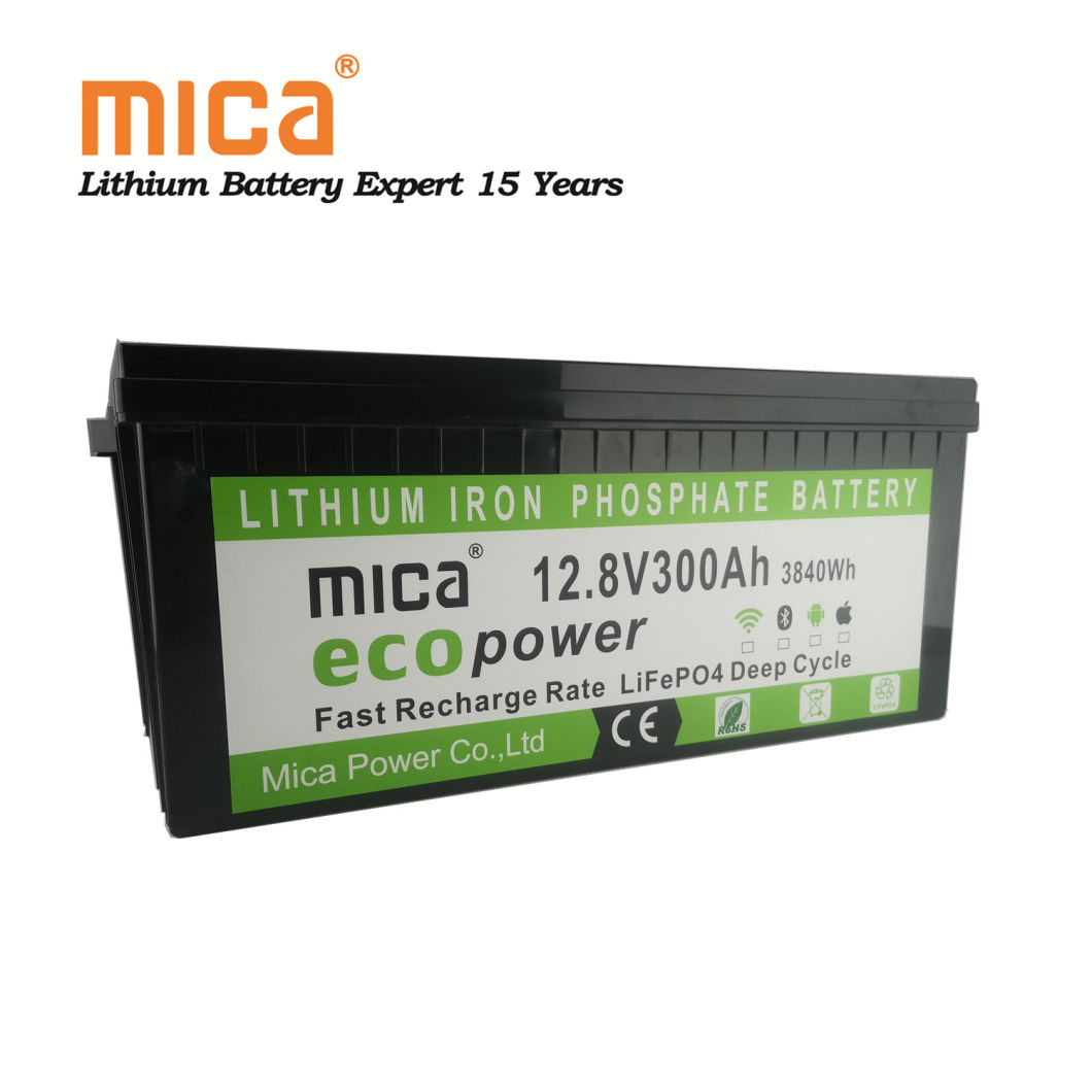 Deep Cycle 12V LiFePO4 12.8V 300ah Lithium Ion Battery with BMS for Solar Systems RV Forklifts