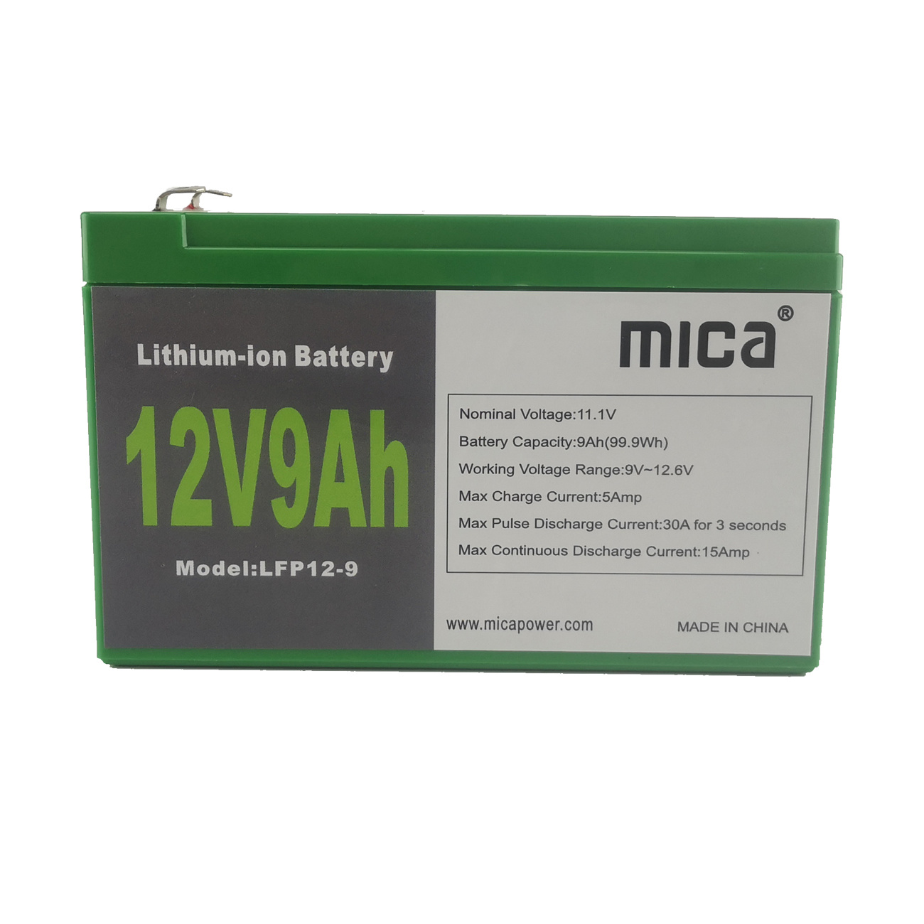 Factory Price 12V Deep Cycle Lipo4 LiFePO4 Lithium-Ion Batteries with Battery Management System