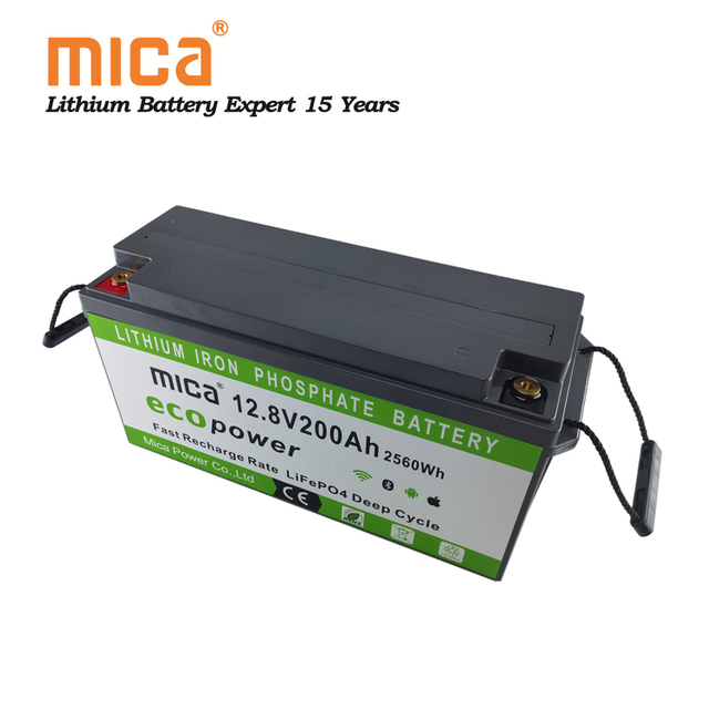 Deep Cycle Rechargeable Lithium Ion LiFePO4 12V 100ah 150ah 200ah 250ah 300ah Lithium Battery Pack