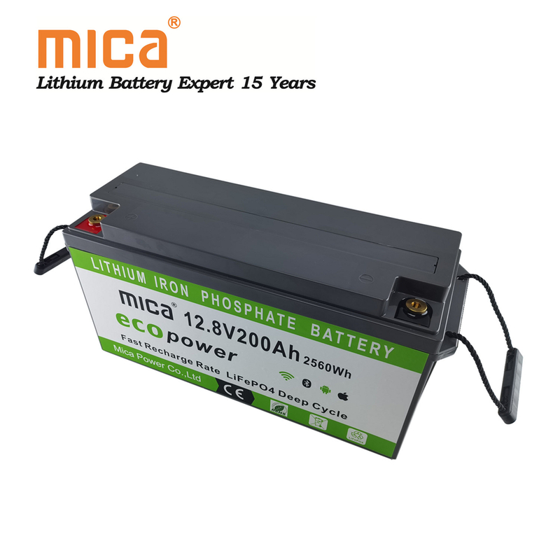 Deep Cycle Rechargeable Lithium Ion LiFePO4 12V 100ah 150ah 200ah 250ah 300ah Lithium Battery Pack