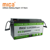 Deep Cycle Rechargeable Lithium Ion LiFePO4 12V 100ah 150ah 200ah 250ah 300ah Lithium Battery Pack