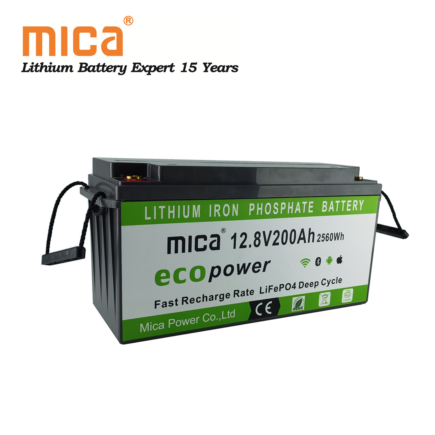 Deep Cycle Rechargeable Lithium Ion LiFePO4 12V 100ah 150ah 200ah 250ah 300ah Lithium Battery Pack