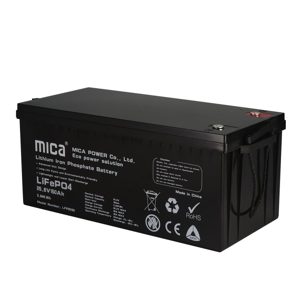 Grade a Cell 12V 100ah LiFePO4 Battery with LCD BMS for Camping Car Caravan Boat Solar System Storage Battery