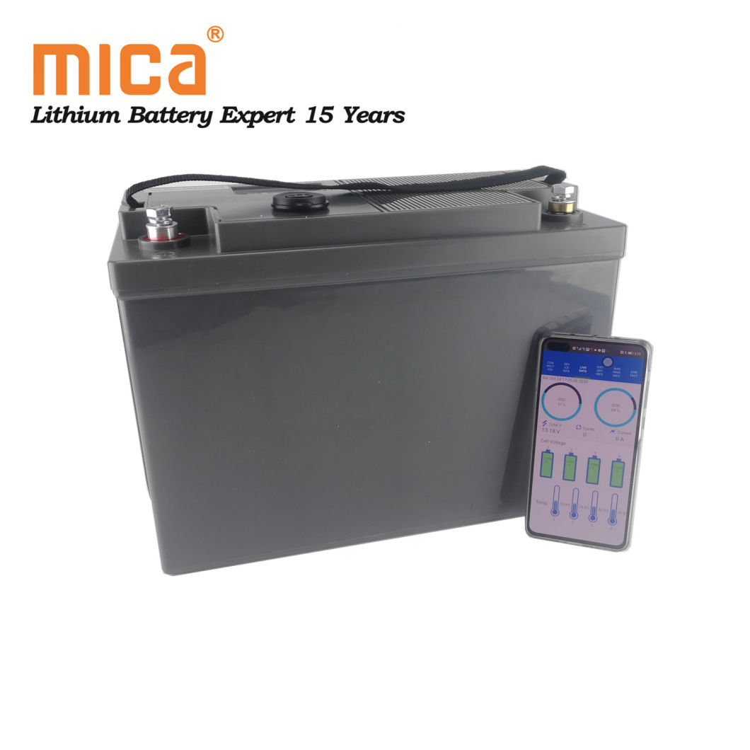 Support Series/Parallels Application Lithium Ion 12V 100ah LiFePO4 Battery with Bluetooth APP Controlled USB Port