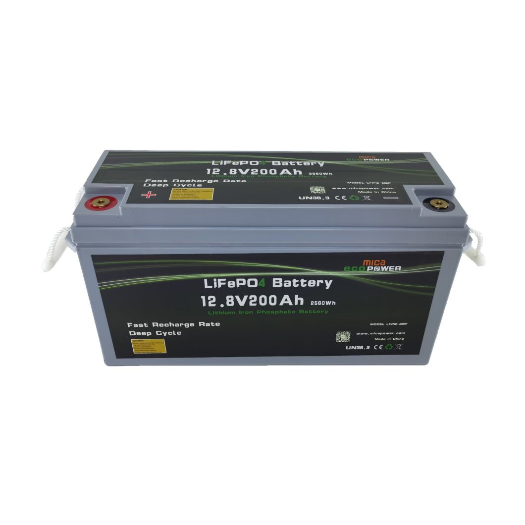 Deep Cycle 12V 100ah 200ah 300ah LiFePO4 Battery 12V Built in 3.2V LiFePO4 Cells and BMS