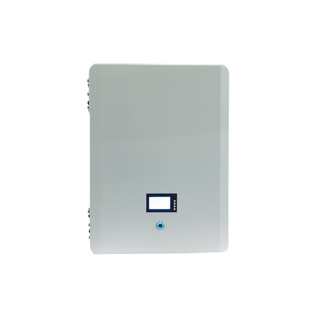 Factory Wholesale Solar Battery with BMS 48V 51.2V 100ah 5wh 10wh Deep Cycle Long Life Rechargeable Lithium Phosphate Iron Battery