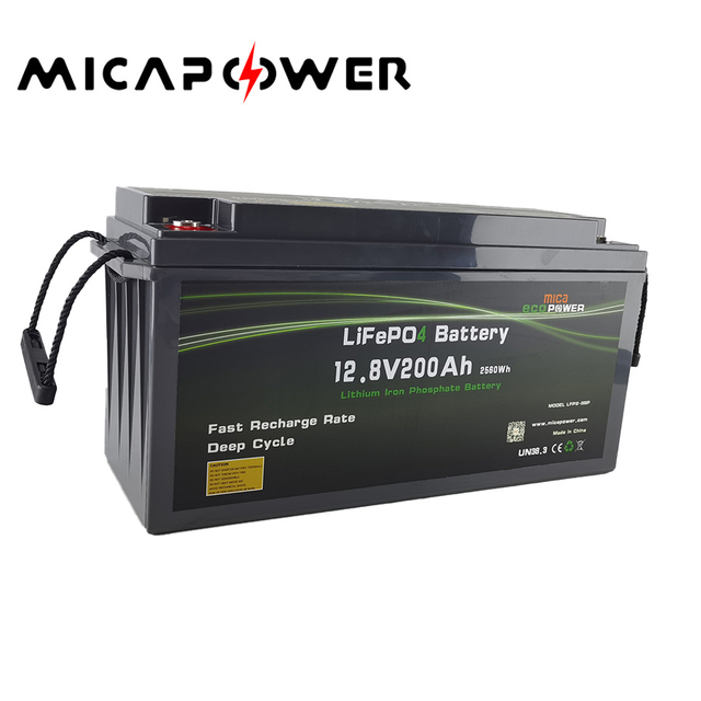 12V 24V 100ah 200ah LiFePO4 Lithium Iron Battery Pack OEM/ODM Service Battery LiFePO4 24V for Solar Energy System