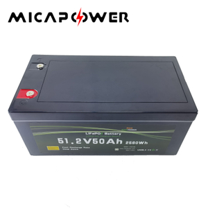 12V/ 24V/ 48V 50ah 100ah 120ah LiFePO4 Battery Pack Lithium Battery with CE