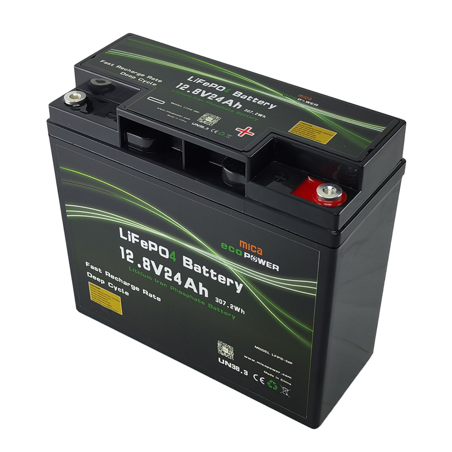 12V 24ah LiFePO4 Lithium Iron Phosphate Battery Pack ABS Case for Solar Energy Storage
