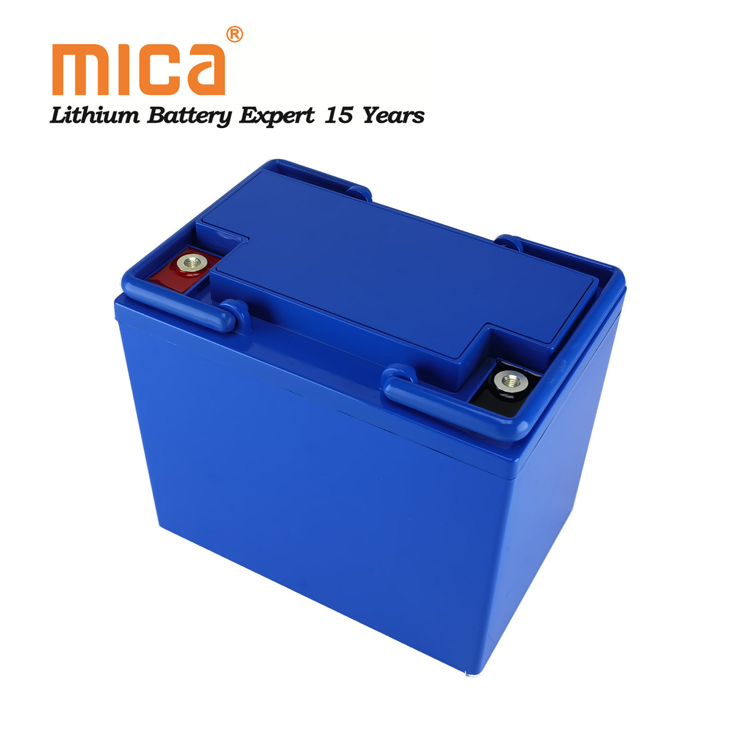 4000 Cycles 12V 52ah 50ah Lithium Iron Phosphate Llifepo4 Automobile Battery Pack with BMS