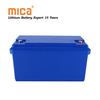 Rechargeable Deep Cycle LiFePO4 12V 100ah Lithium Ion Battery Packs for Camping Car Caravans Trailers Vans