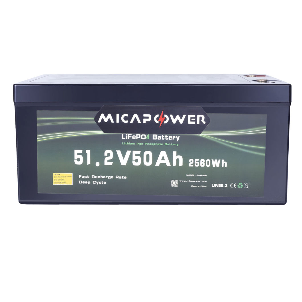 Waterproof LiFePO4 Battery 48V 50ah 2-Seats Golf Cart Lithium Battery Pack 51.2V 50ah Lithium Golf Kart Battery