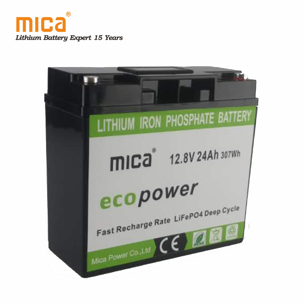 Factory Low Price Lithium Iron Phosphate 12V 24ah Replacement Lithium Battery Pack12V 26ah with BMS for Ess