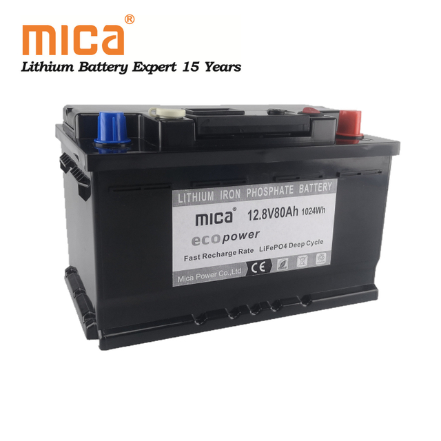 LiFePO4 12V 24V 80ah 100ah 200ah Lithium Li Ion Battery Pack for Electric Boat Motorcycle Yacht