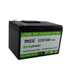 ISO9001 Factory 12V 12ah 6-Dzm-12 Replacement Lead Acid VRLA AGM Battery Electric Toys UPS Alarm System Scooter LiFePO4 Lithium Battery