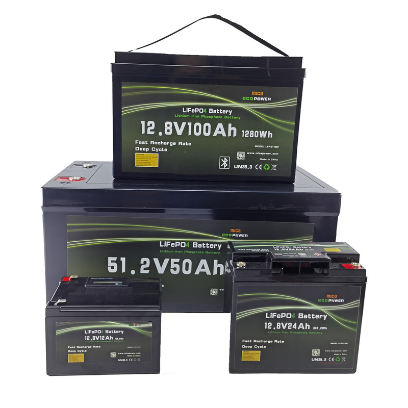 Lithium-Ion Battery 12V 24ah 50ah 100ah 150ah 200ah LiFePO4 for Telecom/Golf Cart/Boat/UPS/Solar Energy System Solarspeicher-Lithium-Batterie-Pack
