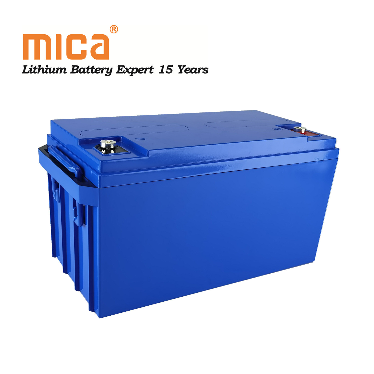 Rechargeable Deep Cycle LiFePO4 12V 100ah Lithium Ion Battery Packs for Camping Car Caravans Trailers Vans