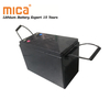 Electric Vehicle Golf Cart Sightseeing Trolley 12V 120ah Lithium Battery 48V 120ah LiFePO4 Deep Cycle Battery Pack