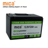 12V 100ah 12.8V 50ah 200ah 300ah Rechargeable Deep Cycle 24V LiFePO4 Lithium Iron Phosphate Battery Built-in 100A BMS LFP Battery for Marine