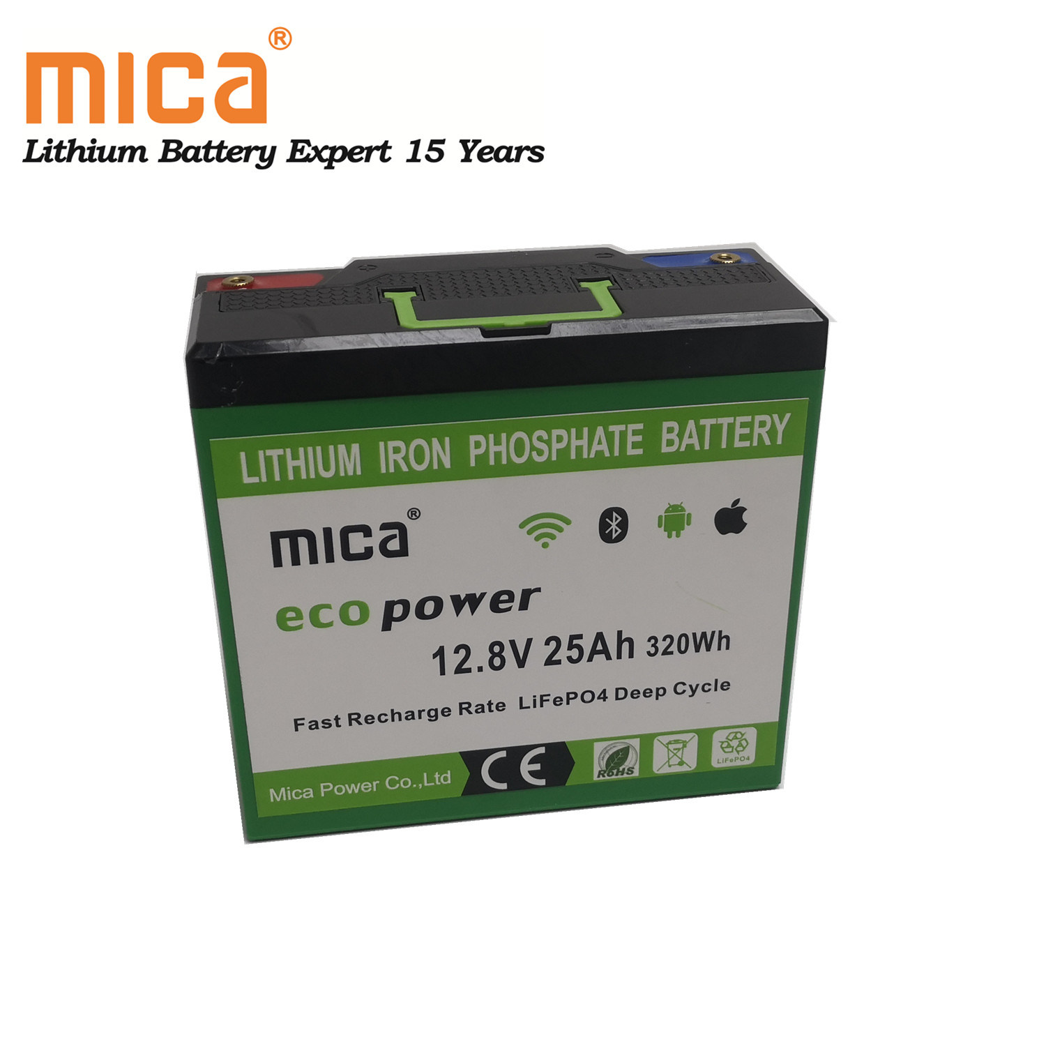 Factory Wholesale Lithium Ion 12V 25ah LiFePO4 Battery Pack with BMS LED Handhold