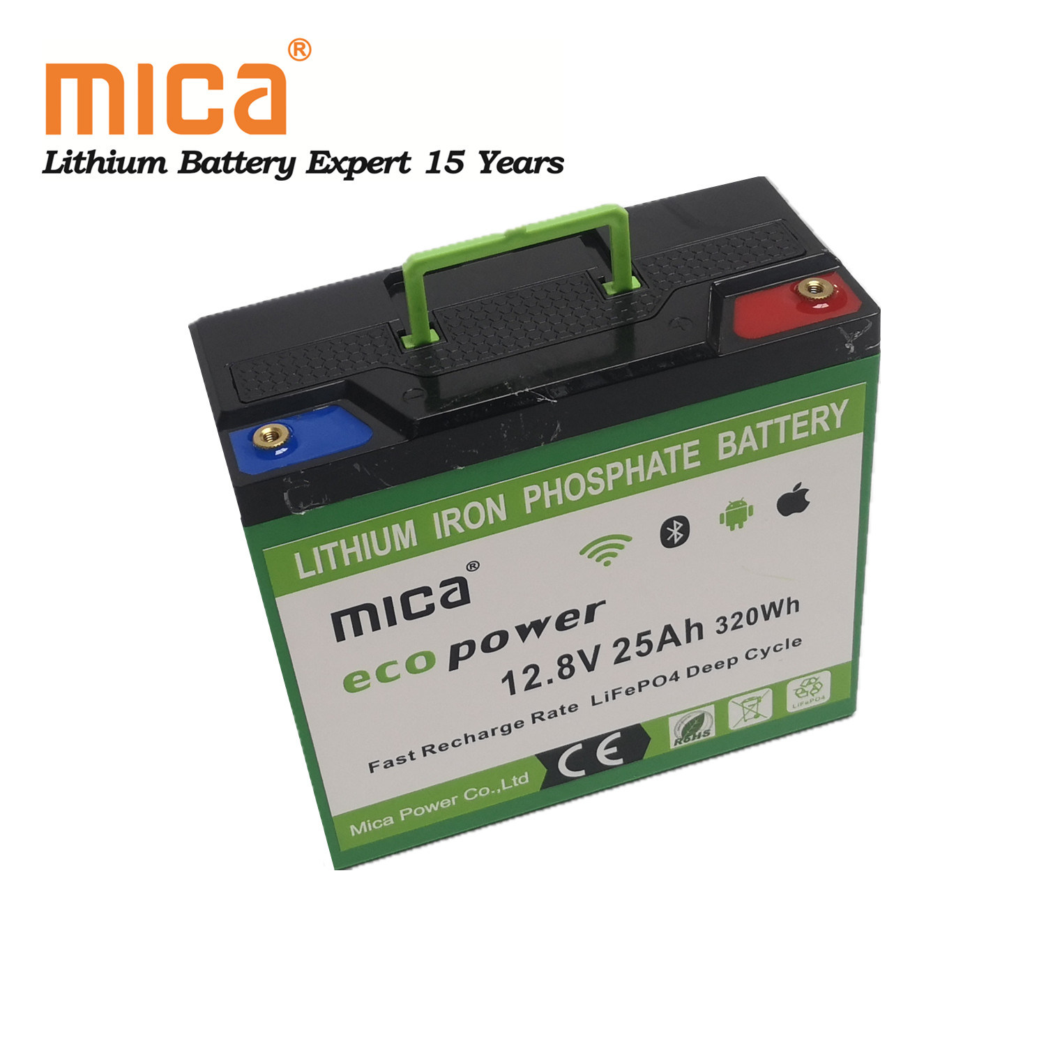 Factory Wholesale Lithium Ion 12V 25ah LiFePO4 Battery Pack with BMS LED Handhold