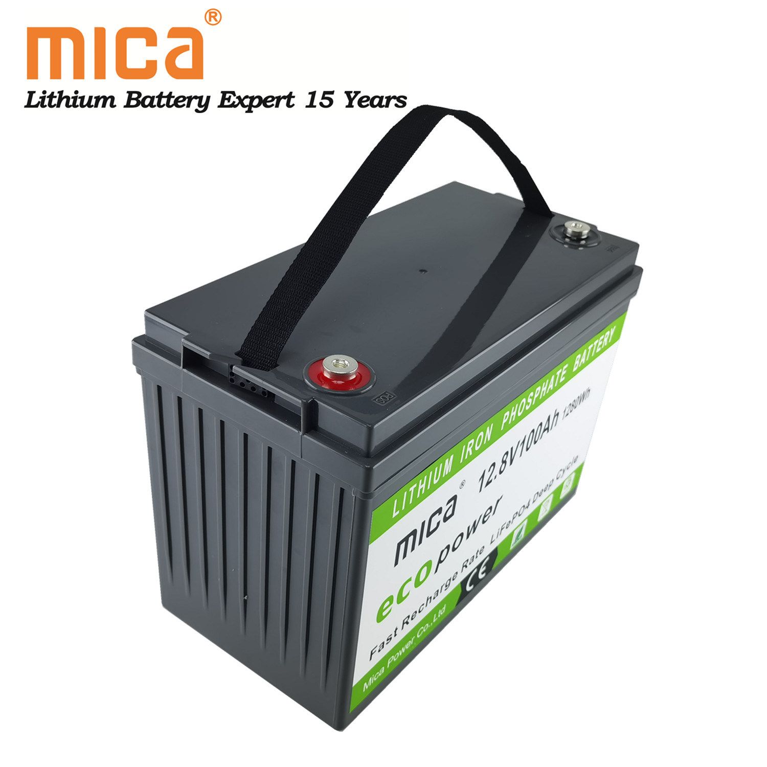 BMS Built-in Long Life RV LiFePO4 12V 100ah Deep Cycle Lithium Ion Batteries LiFePO4 Battery Pack