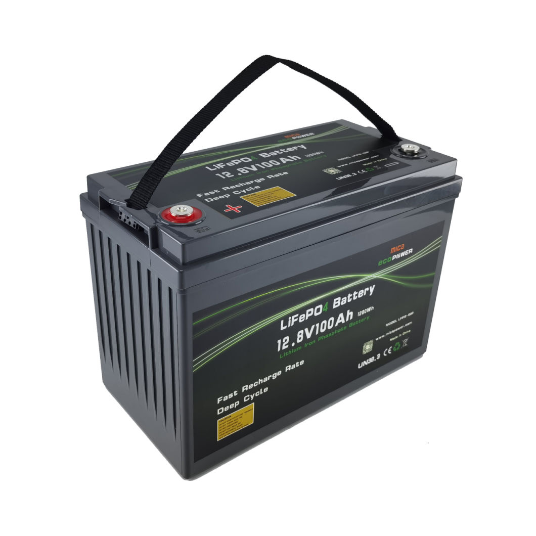 LiFePO4 Lithium Iron Phosphate Battery Pack 12V 100ah with BMS for Solar System RV Electric Car