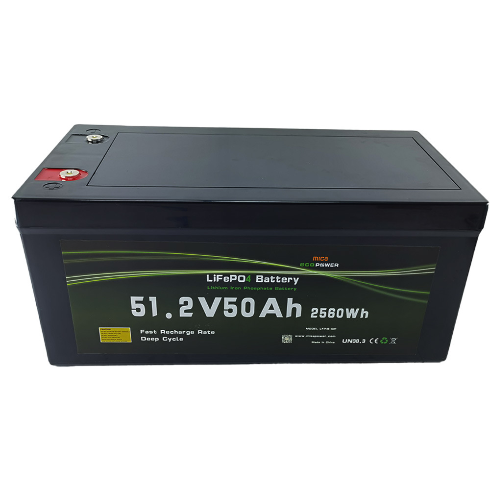 48V Battery Lithium Battery LiFePO4 Battery for Solar Energy System Camper Electric Boat with CE MSDS Un38.3 UL