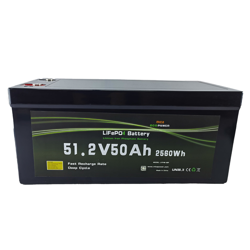 48V Battery Lithium Battery LiFePO4 Battery for Solar Energy System Camper Electric Boat with CE MSDS Un38.3 UL