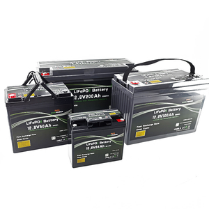 12.8V 25.6V 51.2V Customize Portable Li-ion/Lithium/ LiFePO4 Battery Pack OEM 12V 24ah 50ah for E-Vehicle Battery