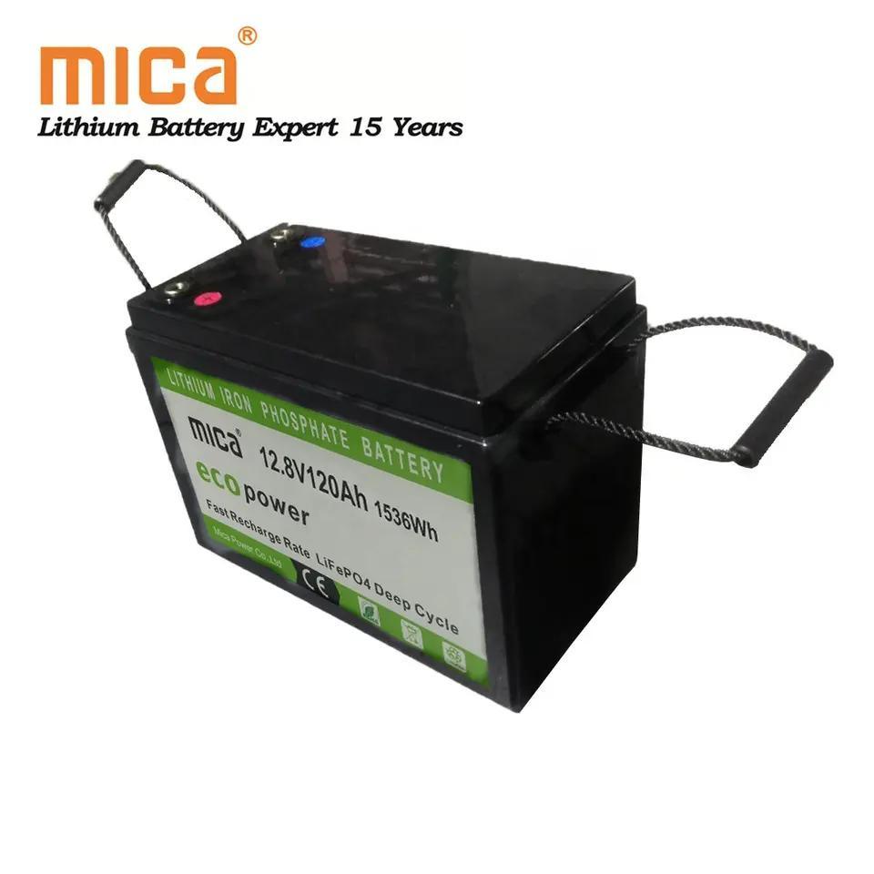 12V 100ah 12.8V 50ah 200ah 300ah Rechargeable Deep Cycle 24V LiFePO4 Lithium Iron Phosphate Battery Built-in 100A BMS LFP Battery for Marine