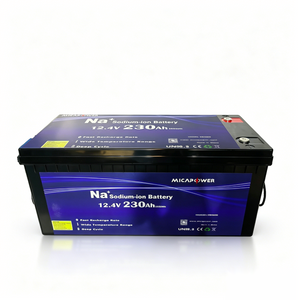 Mica 12V 24V Sodium-Ion Batteries 50ah 100ah 200ah Sodium Ion Battery Pack for Boat RV Camper