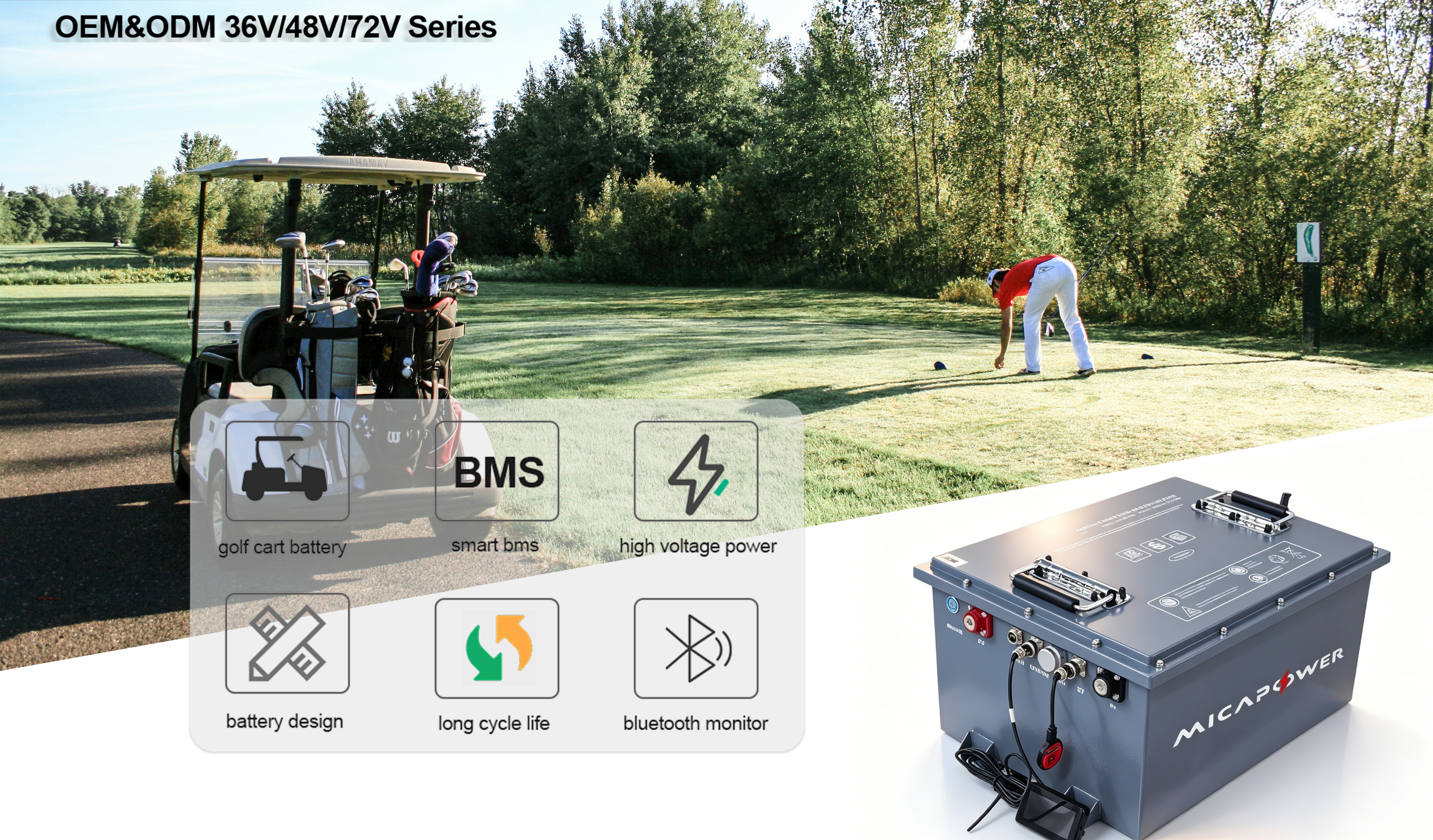 golf cart battery with LCD(1)